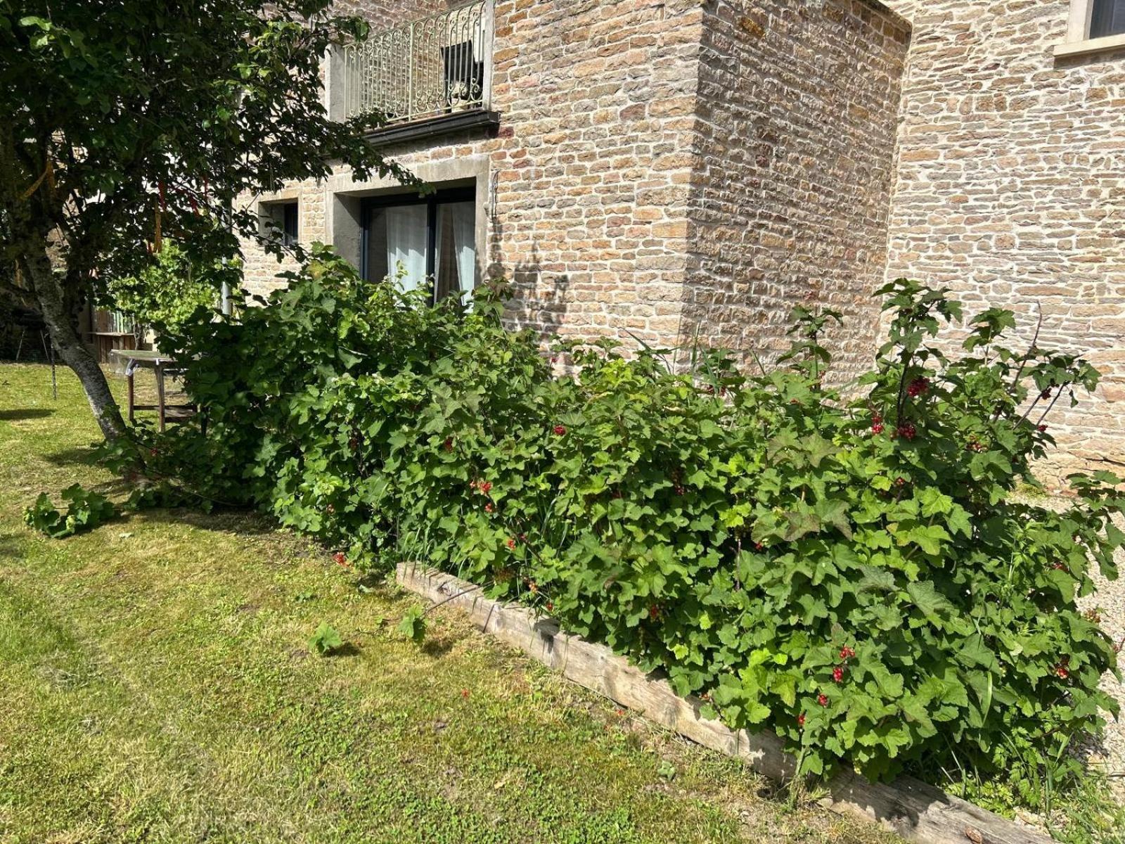 Appartement 3 Etoiles Tout Confort Et Spacieux En Campagne Bourguignonne Mancey Bagian luar foto